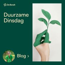 MVO Blog