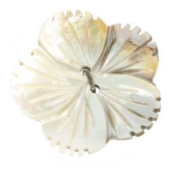 Knoop parelmoer bloem 40 - 40st