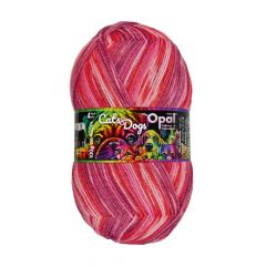Opal Cats & Dogs 4-draads 10x100g