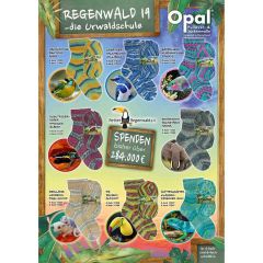 Opal Regenwald 19 6-draads 4x150g - 8 kleuren - 1st